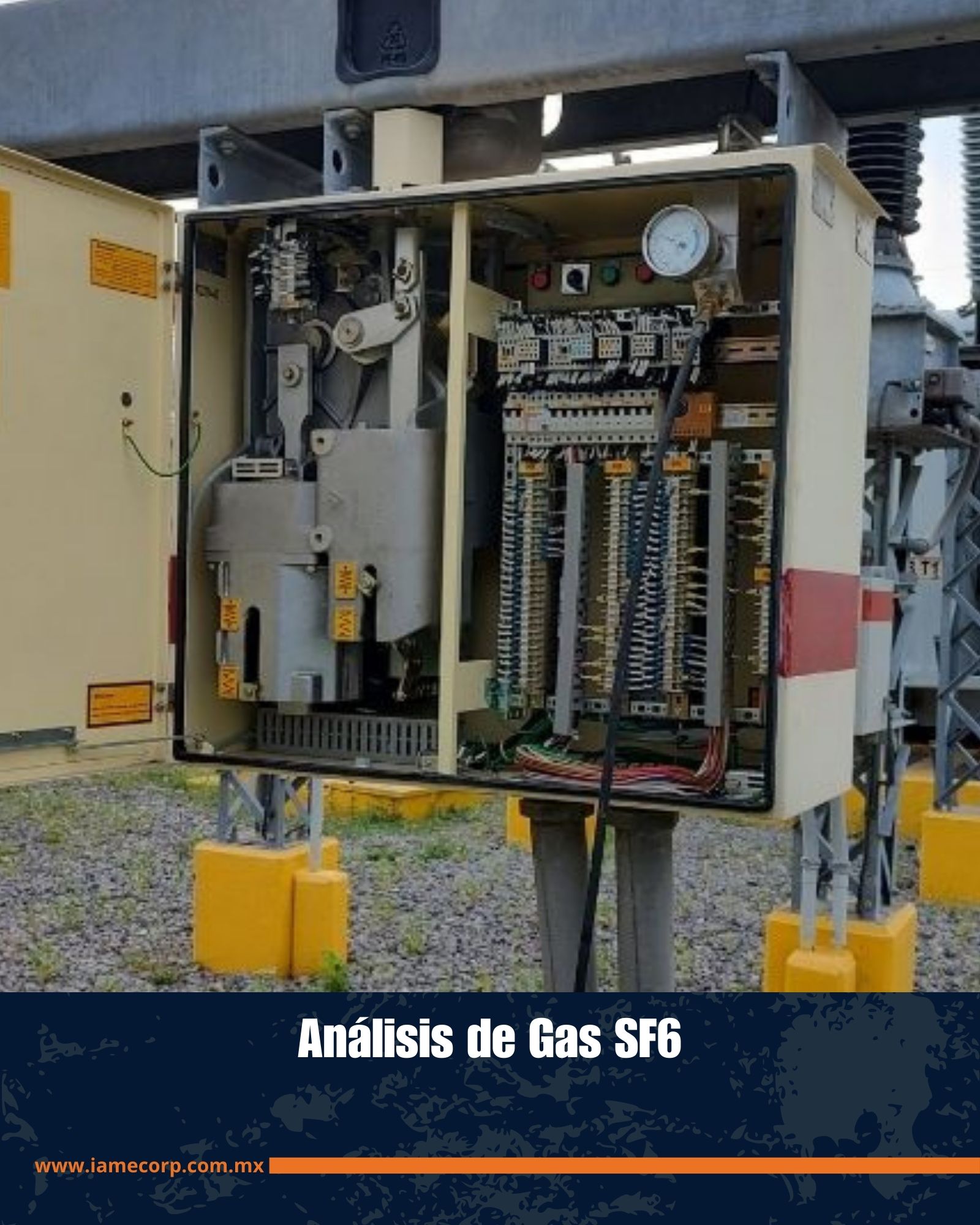 Imagen 8